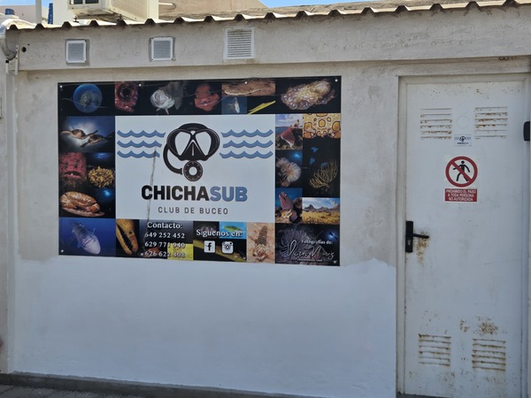 Chichasub – Club de Buceo