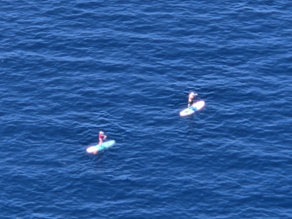 Paddle surf